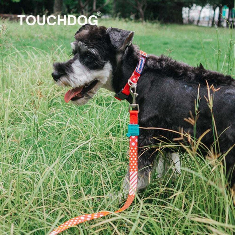 Touchdog  'Trendzy' 2-in-1 Matching Fashion Designer Printed Dog Leash and Collar(D0102HAX9X7.)