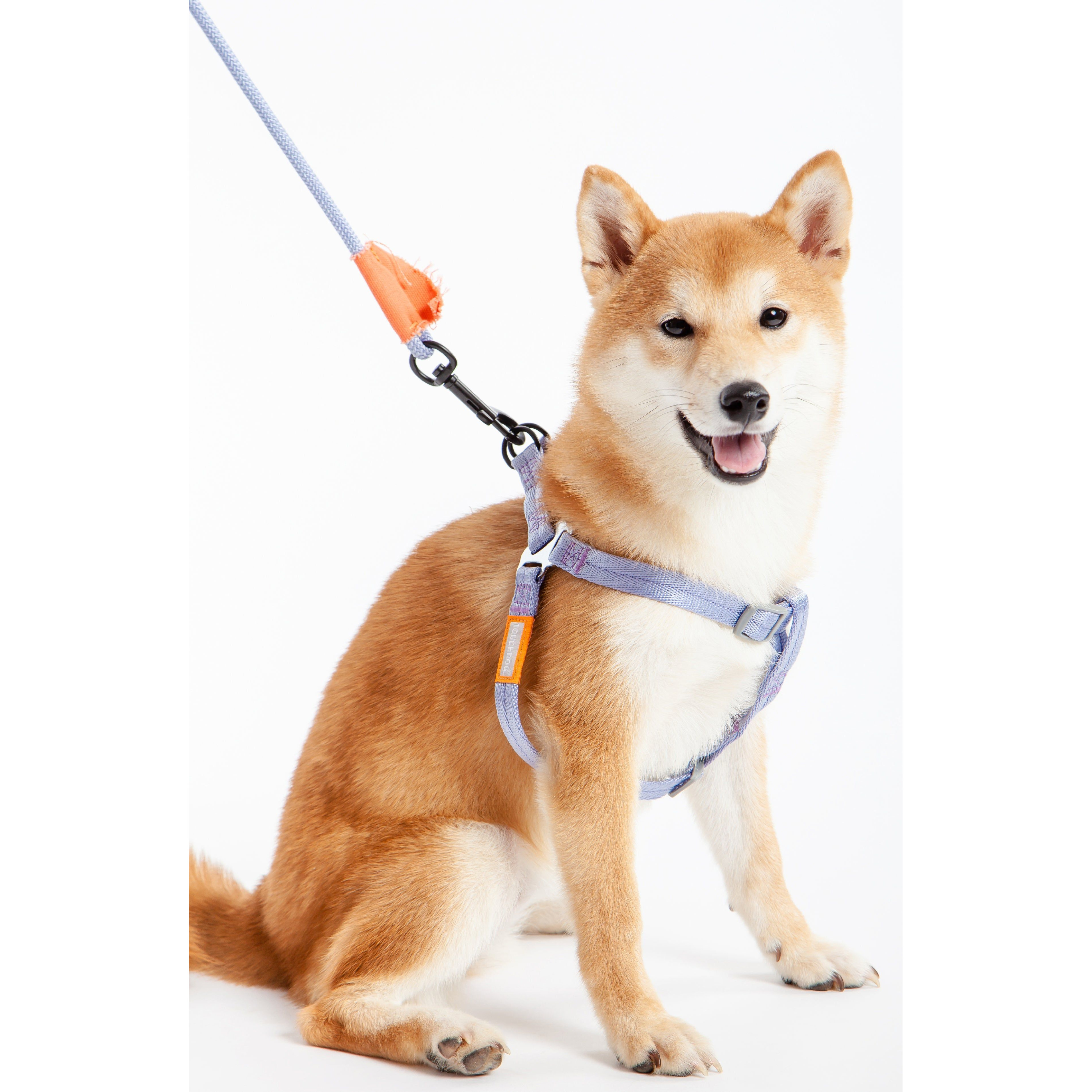 Touchdog  'Macaron' 2-in-1 Durable Nylon Dog Harness and Leash(D0102HAXAZU.)