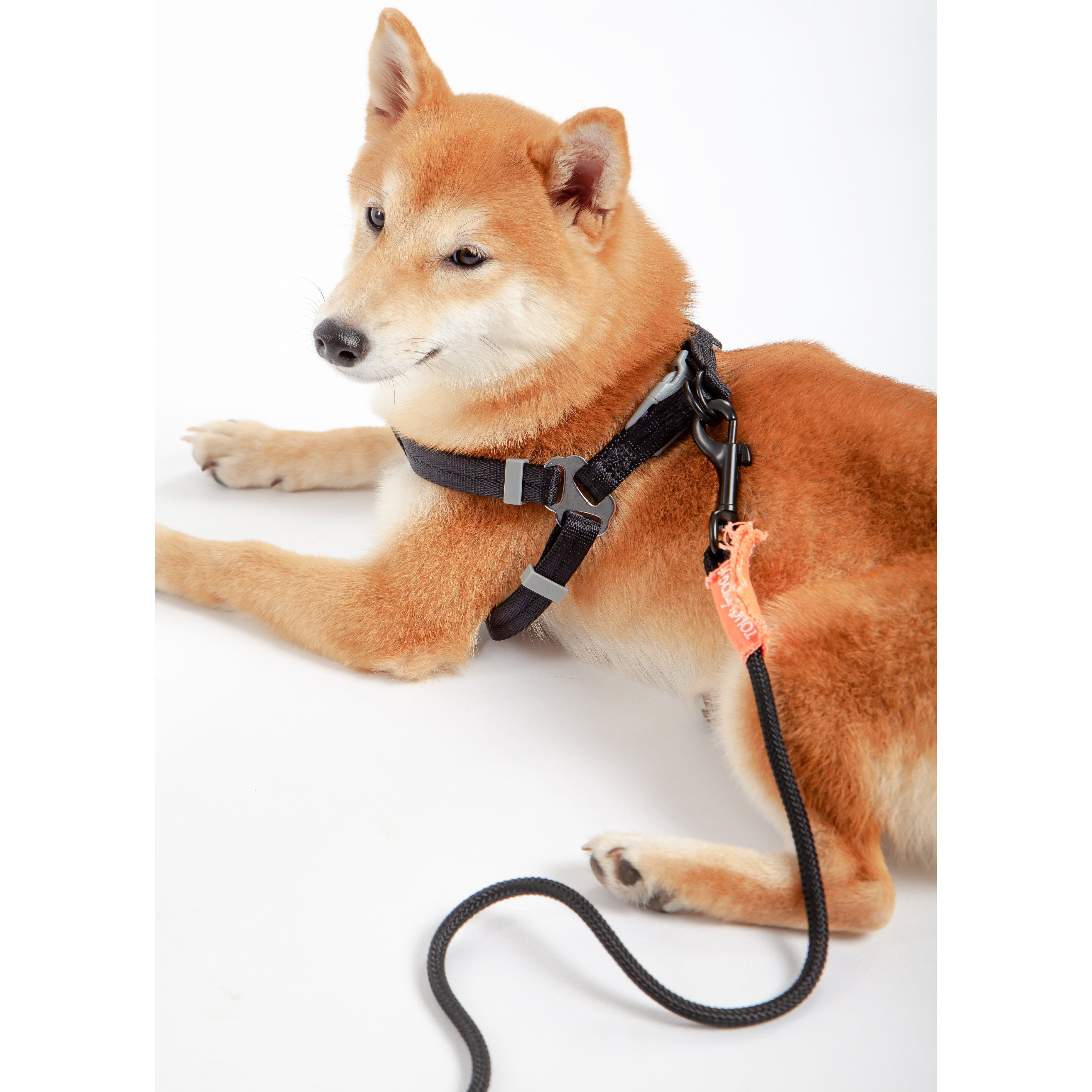 Touchdog  'Macaron' 2-in-1 Durable Nylon Dog Harness and Leash(D0102HAXAWY.)