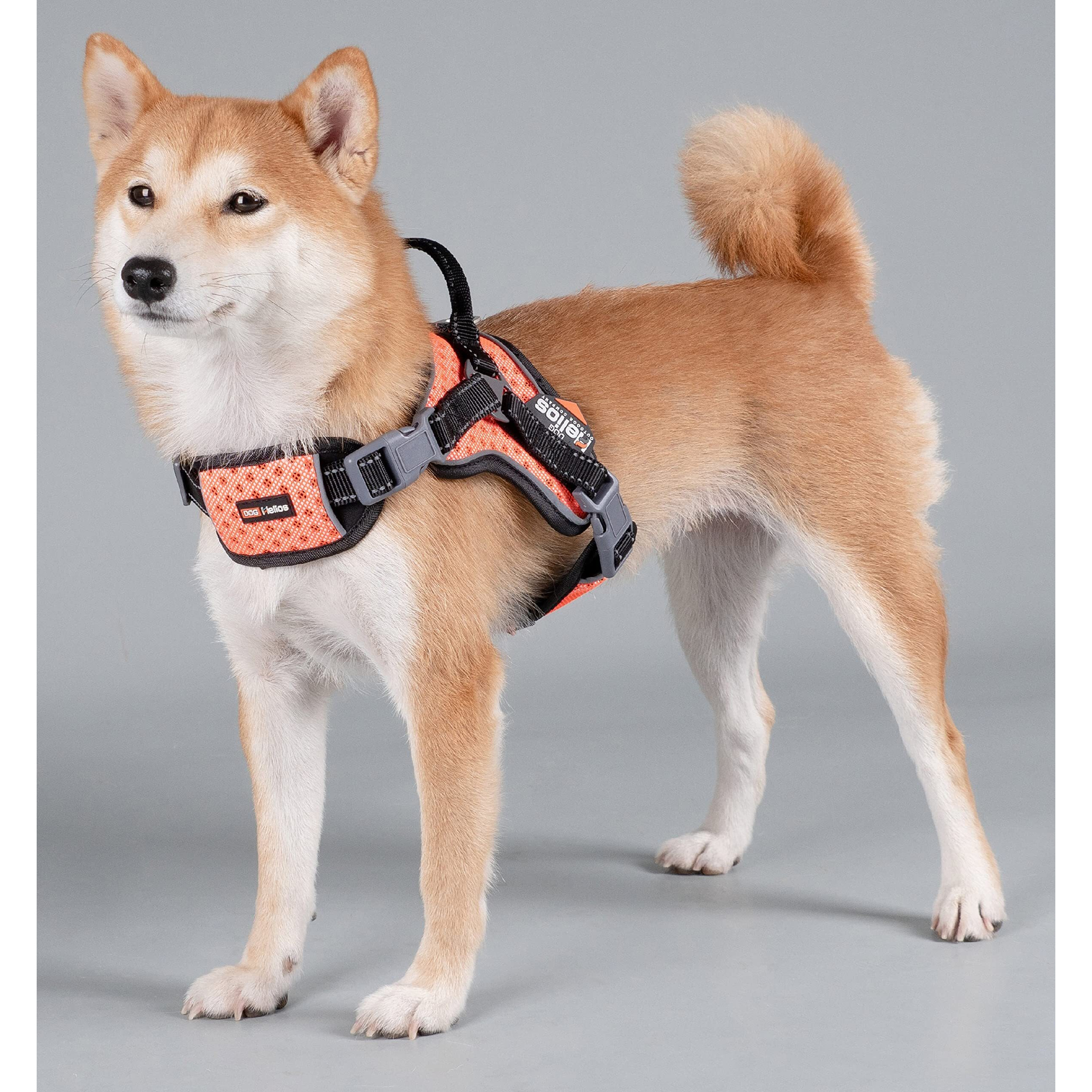 Dog Helios  'scorpion' Sporty High-Performance Free-Range Dog Harness(D0102HAXAMA.)