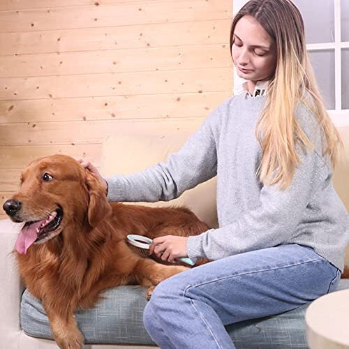 Pet Life  'WAGNIFY' 360 Degree and Multi-Directional Modern Grooming Pet Rake Comb(D0102HAX27V.)