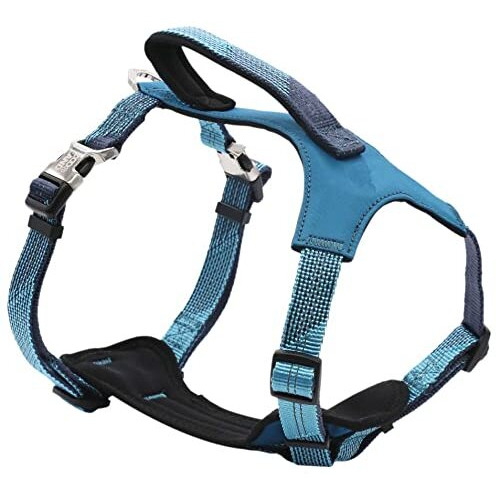 Pet Life  'Geo-prene' 2-in-1 Shock Absorbing Neoprene Padded Reflective Dog Leash and Harness(D0102HAXACA.)