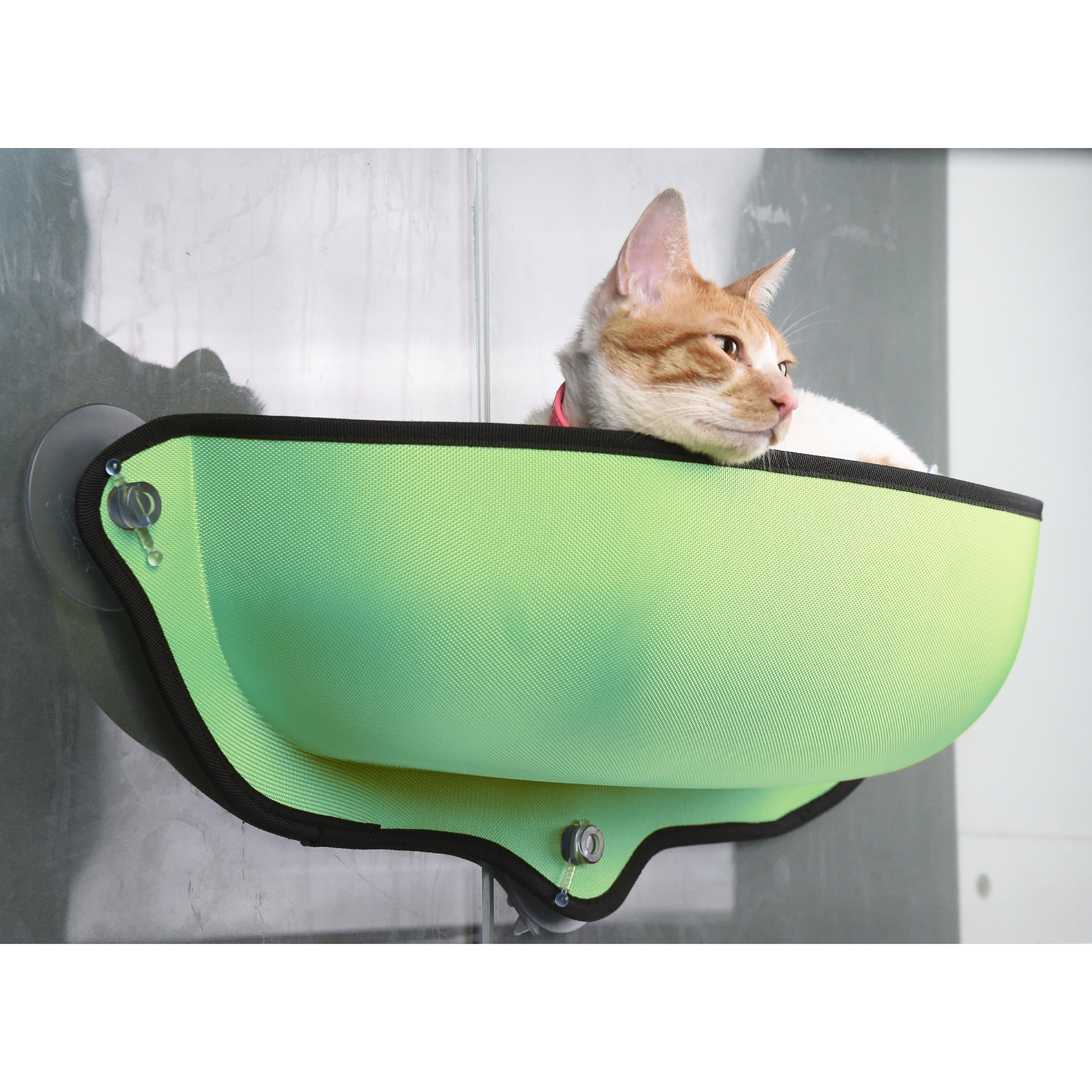 Pet Life  'Gravity-Lounge' Suction Cup Kitty Cat Lounger and Bed(D0102HAX9KV.)