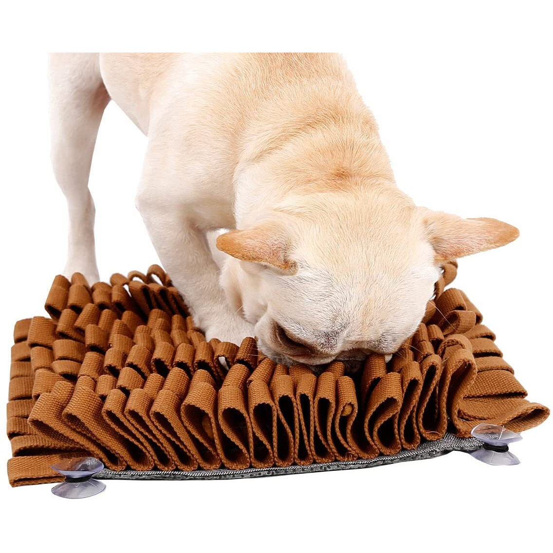 Pet Life  'sniffer Grip' Interactive Anti-Skid Suction Pet Snuffle Mat(D0102HAXIFA.)