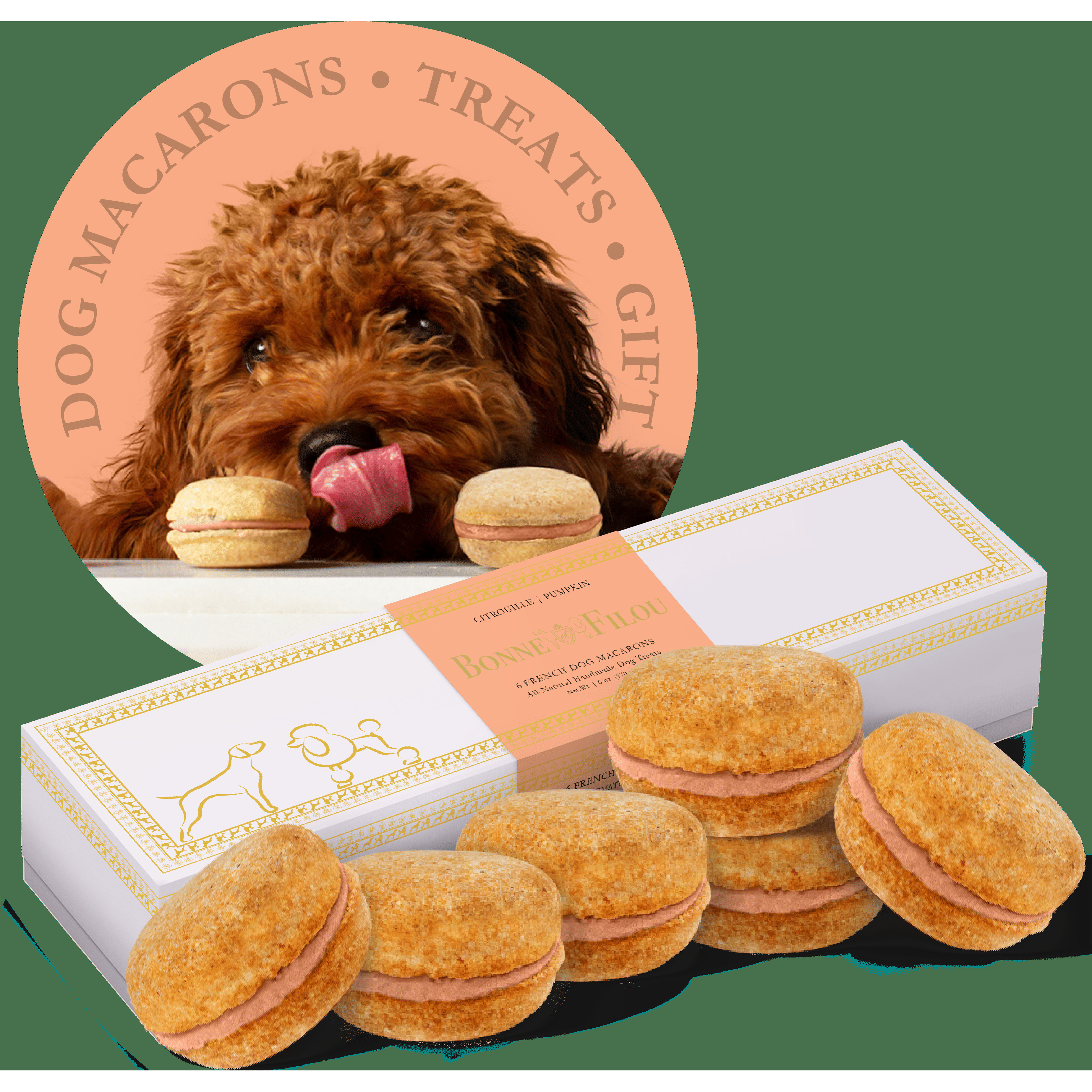 Dog Macarons - count of 6 (Dog Treats  Dog gifts)(D0102HIRLFW)