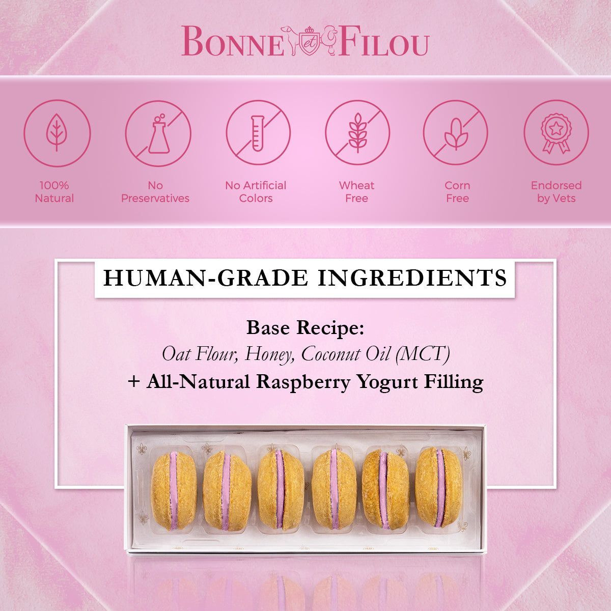 Dog Macarons - count of 6 (Dog Treats  Dog gifts)(D0102HIR0XU)
