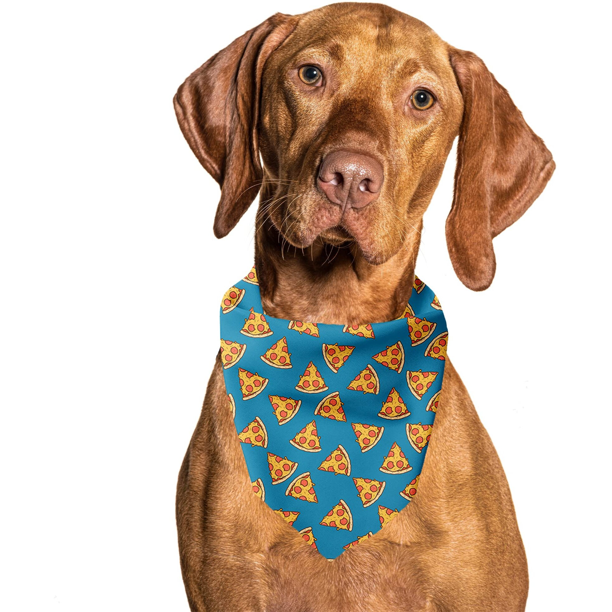 Cutie Ties Tie On Dog Bandana