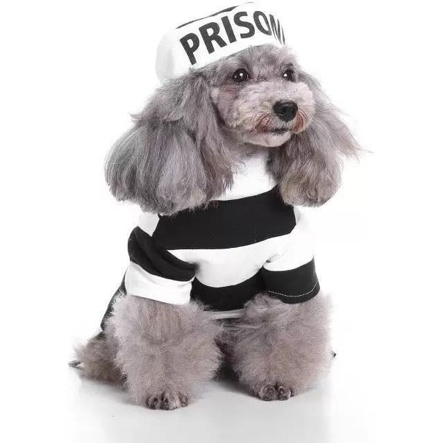 Pet Life Striped Retro Inmate Prisoner Pet Dog Costume Uniform(D0102HAXPJY.)