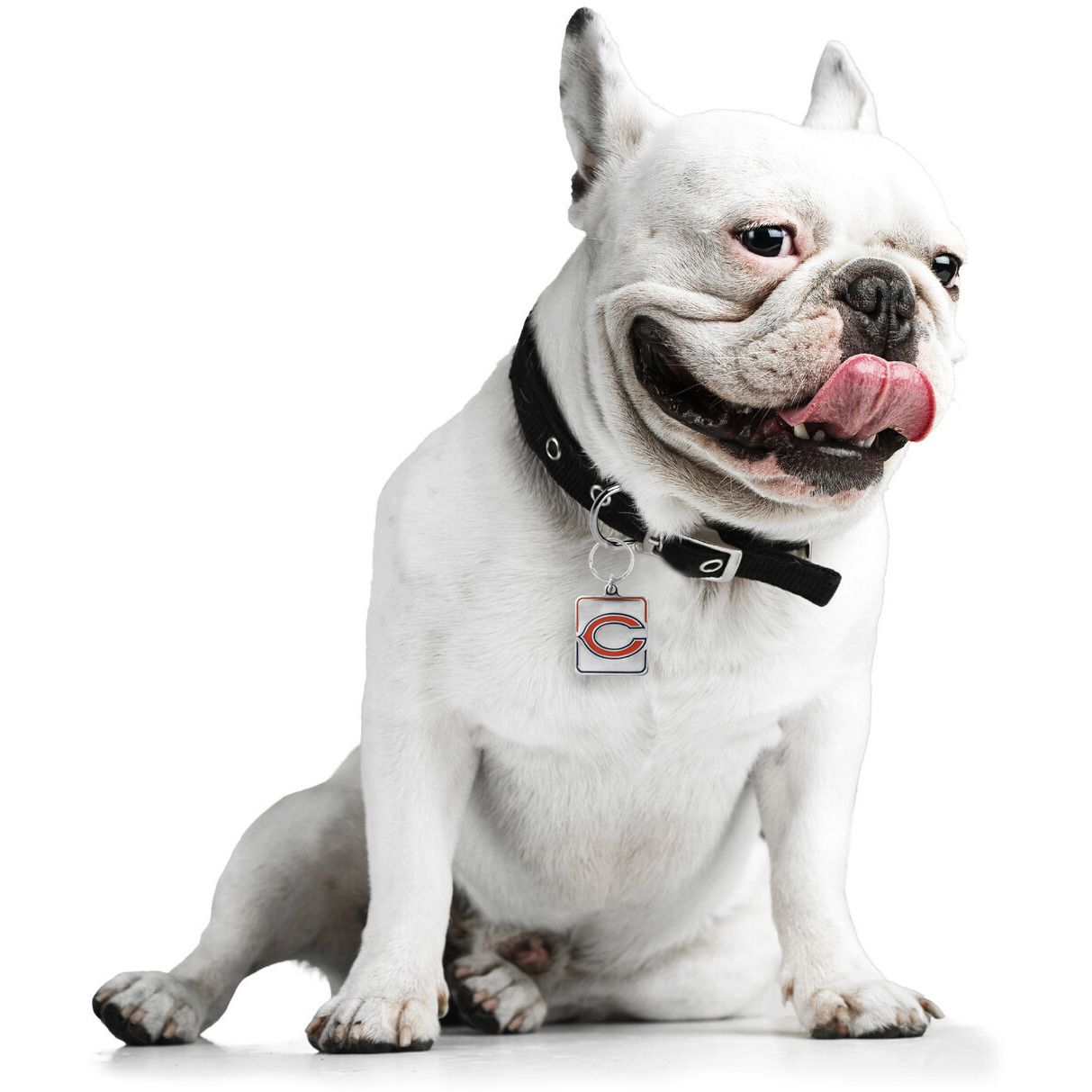Chicago Bears Pet Collar Charm