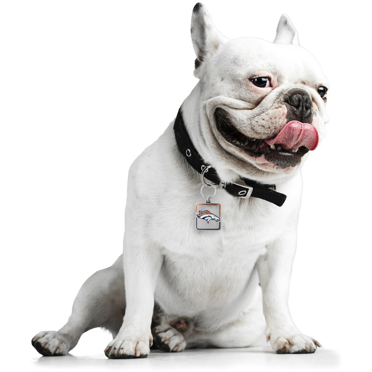 Denver Broncos Pet Collar Charm