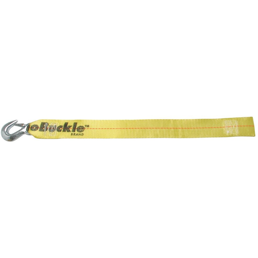 WINCH STRAP WITH LOOP END  2' X 25'