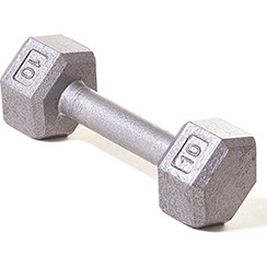 Hex Dumbbell w/ Straight Handle 10 lb