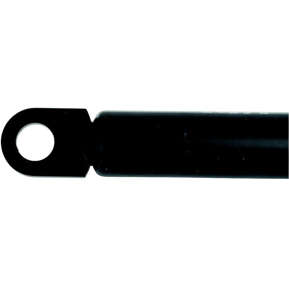 GS SPRNG 10'EXT 10 COMP