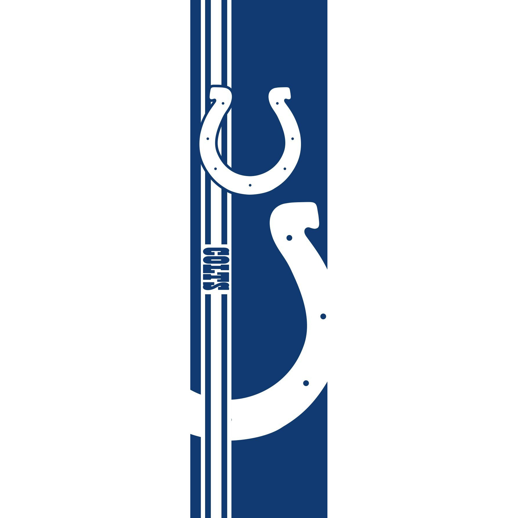 Indianapolis Colts Banner Door Style CO