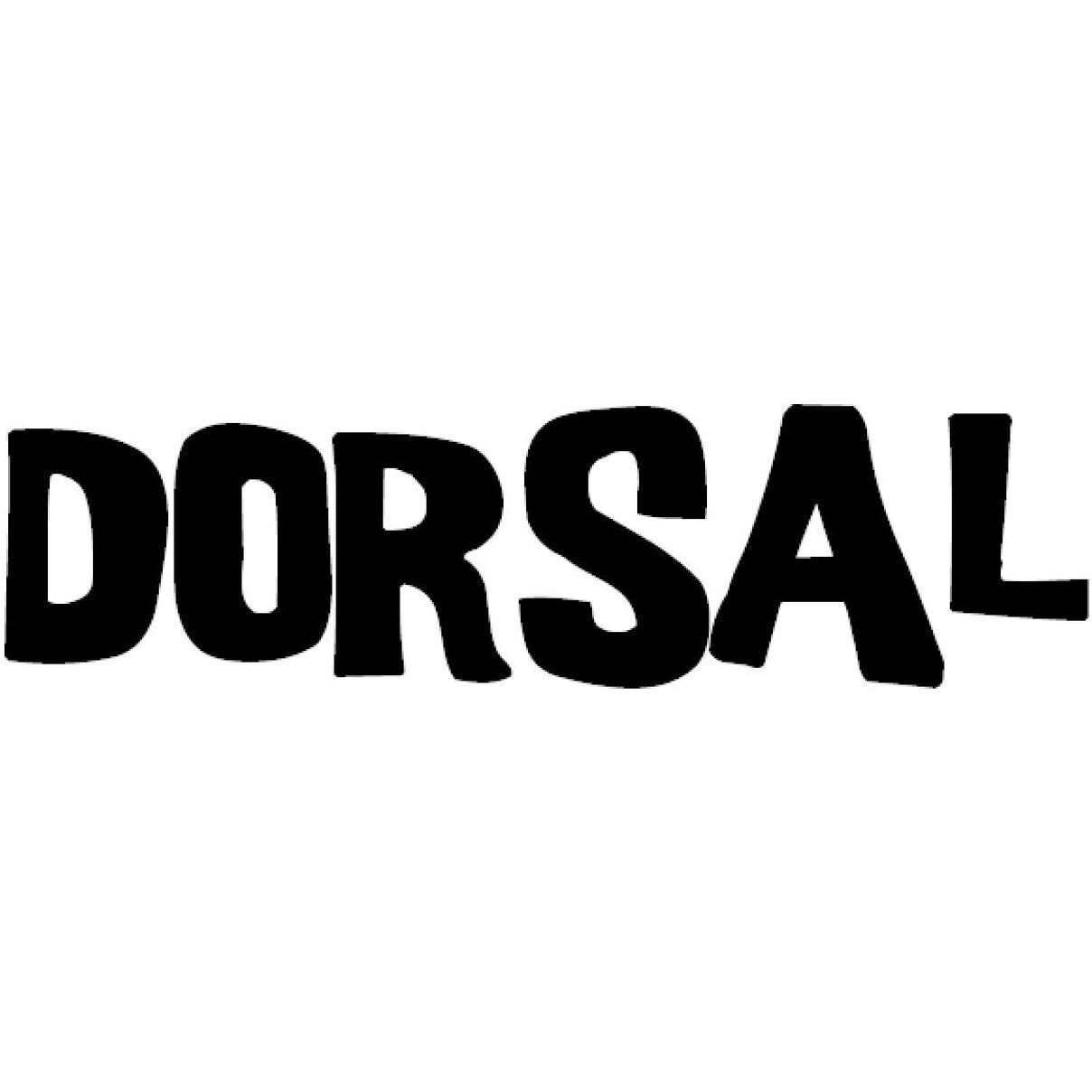 DORSAL Premium Stand Up Paddle board SUP Surf Leash 10' COILED - Double Stainless Steel Swivels and Triple Rail Saver(D0102HAP68U.)
