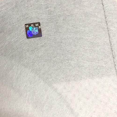 Baltimore Ravens Pennant 12x30 Premium Style