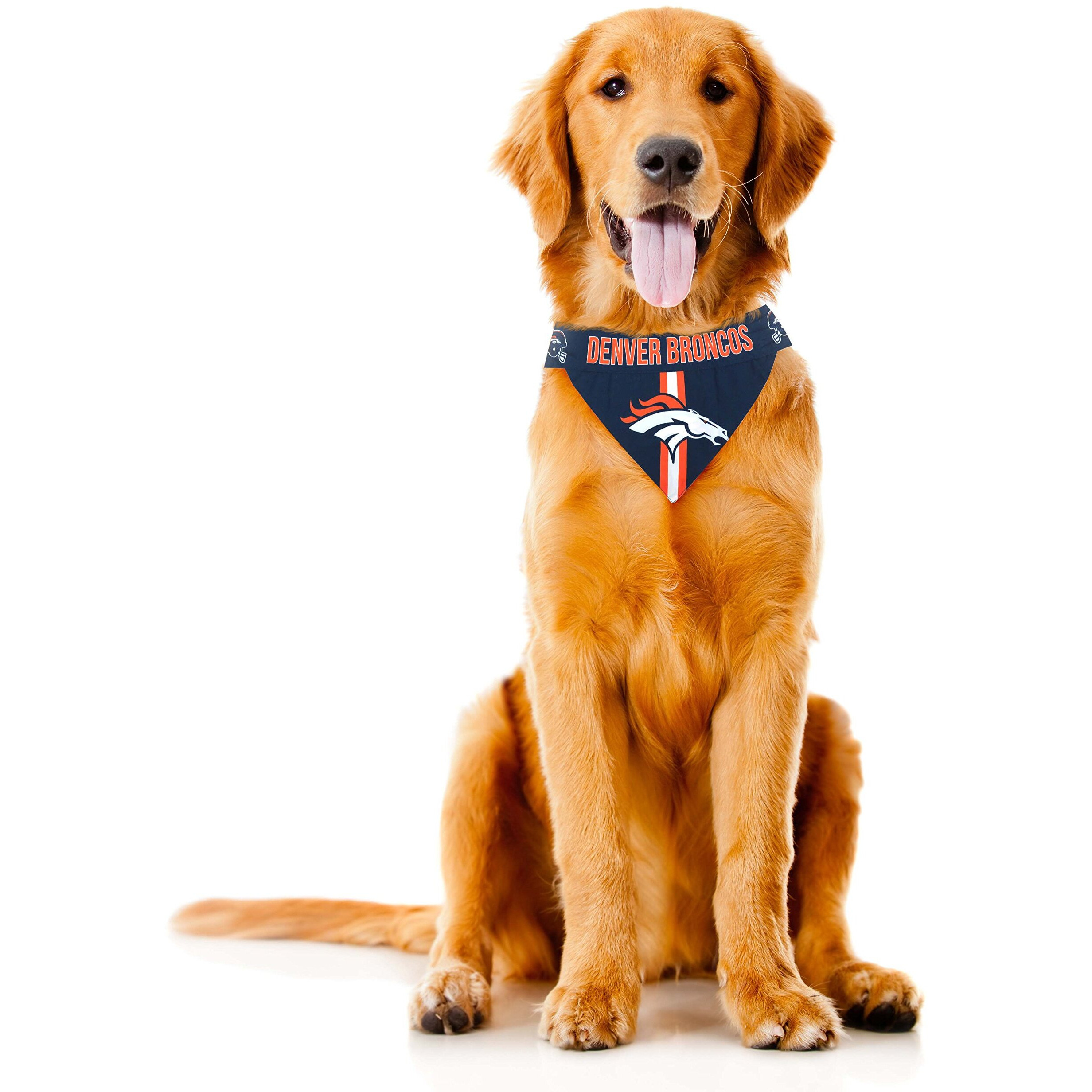 Denver Broncos Pet Bandanna Size S - Special Order