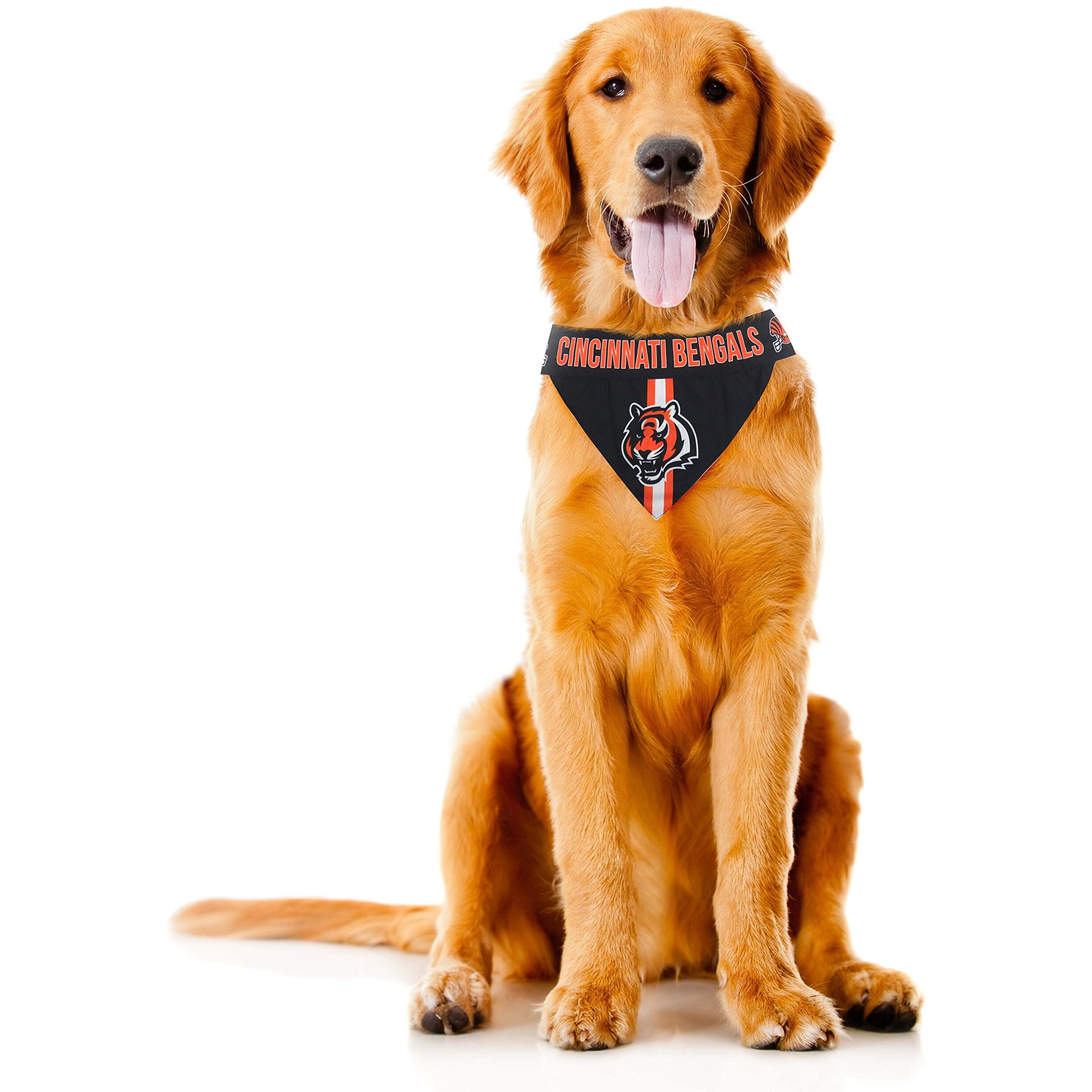 Cincinnati Bengals Pet Bandanna Size M - Special Order