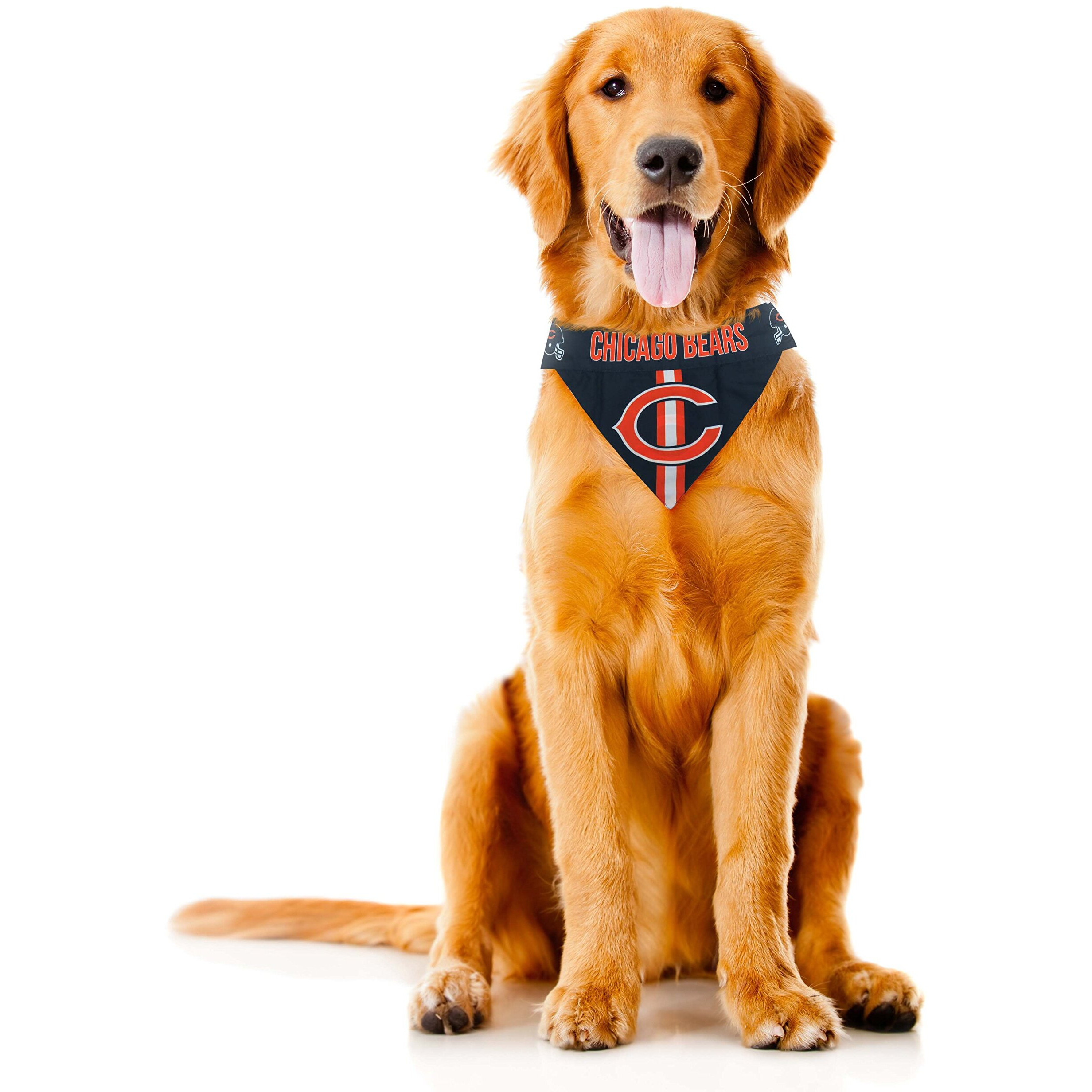 Chicago Bears Pet Bandanna Size XS