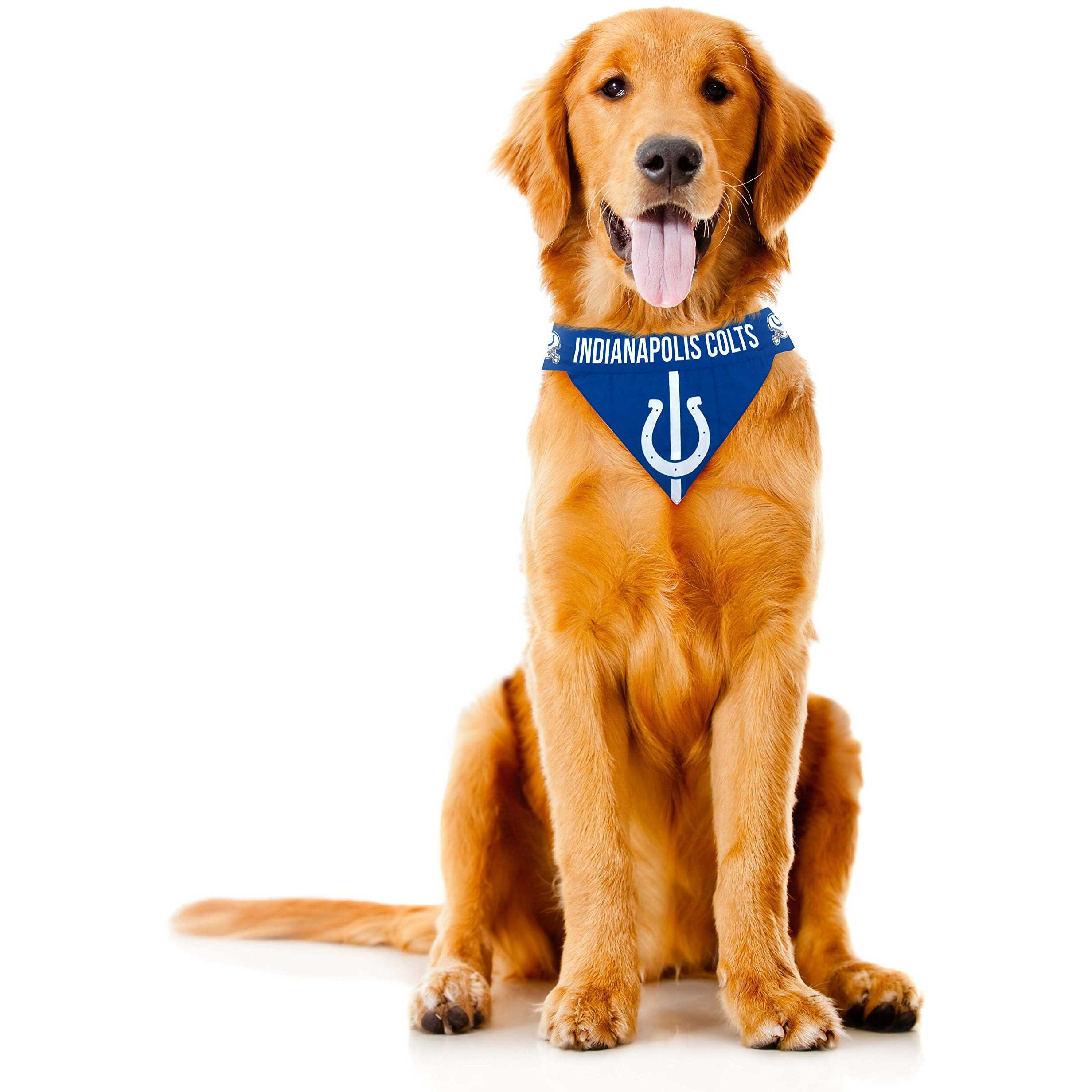 Indianapolis Colts Pet Bandanna Size M - Special Order