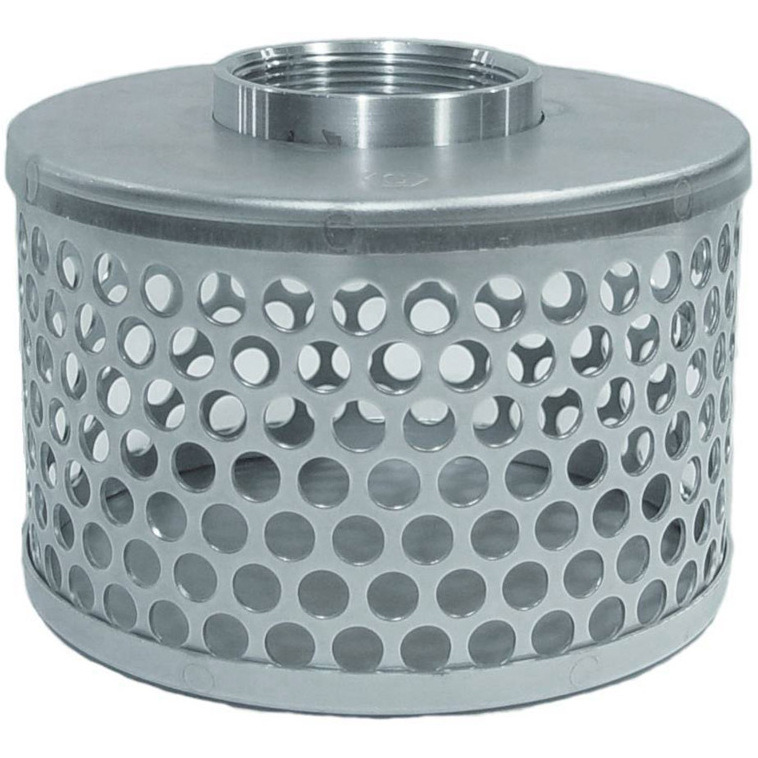 STRAINER HOSE 2" FPT (Pack of 1)