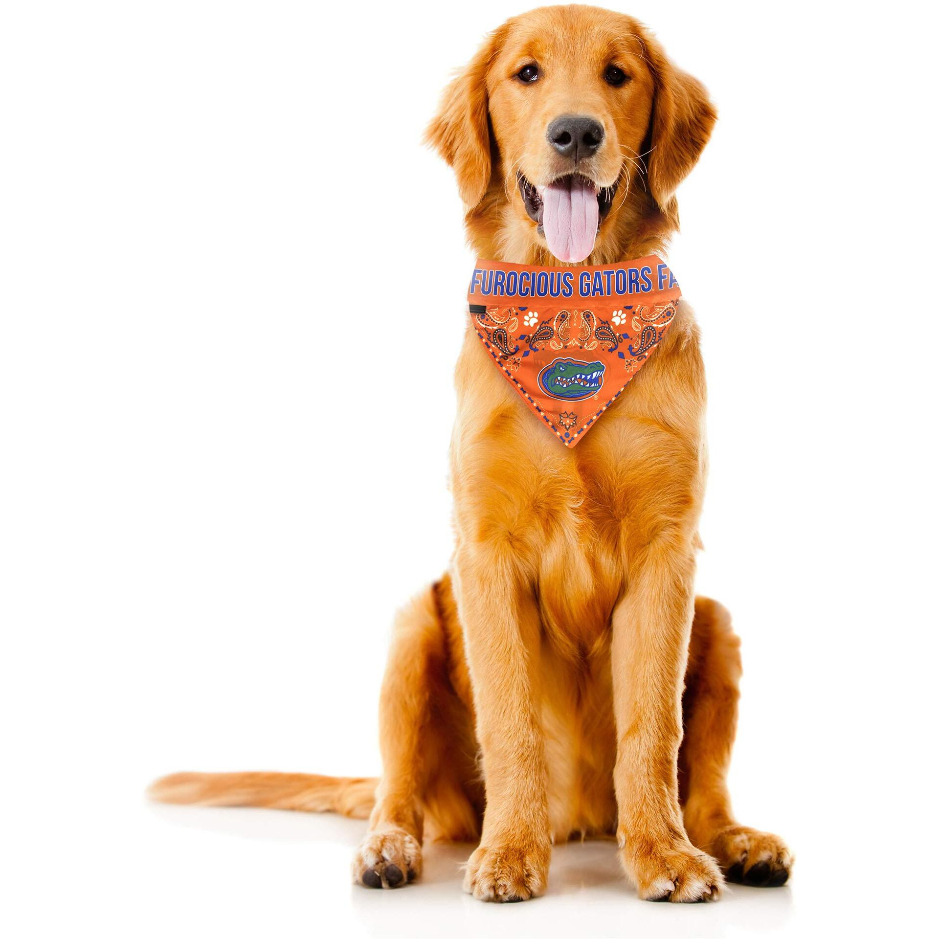 Florida Gators Pet Bandanna Size M