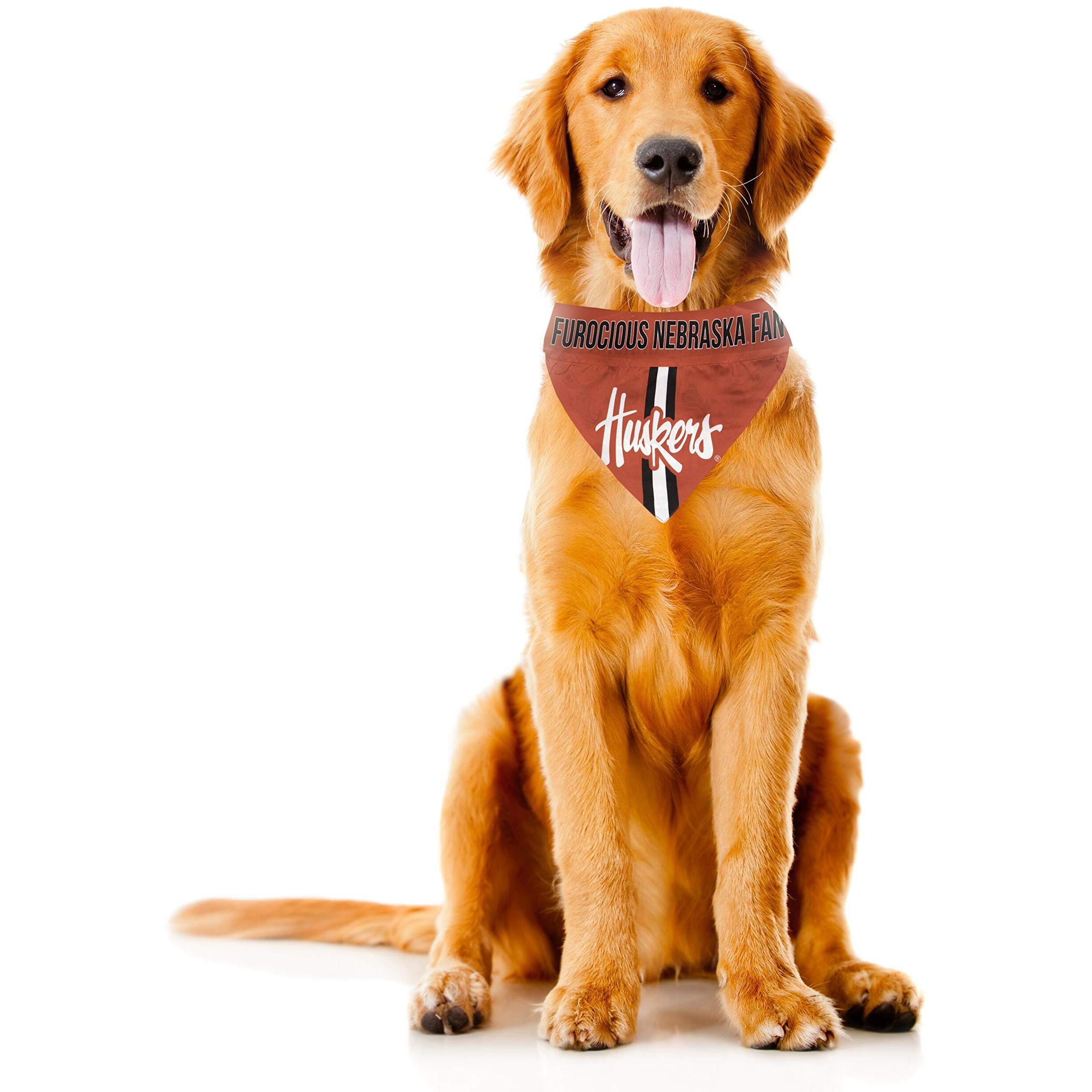 Nebraska Cornhuskers Pet Bandanna Size XS