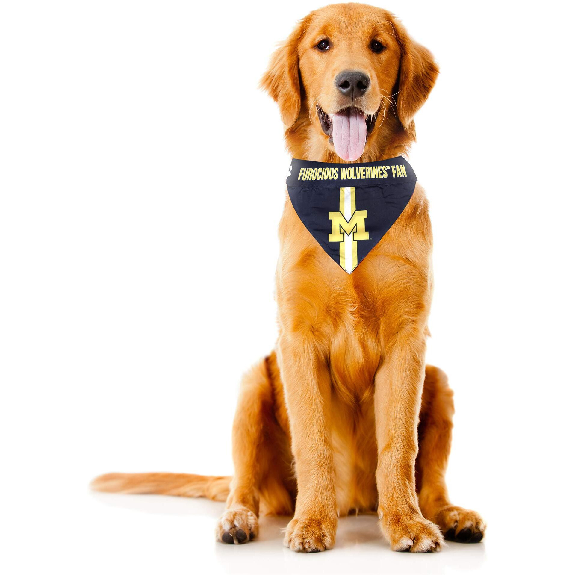 Michigan Wolverines Pet Bandanna Size M