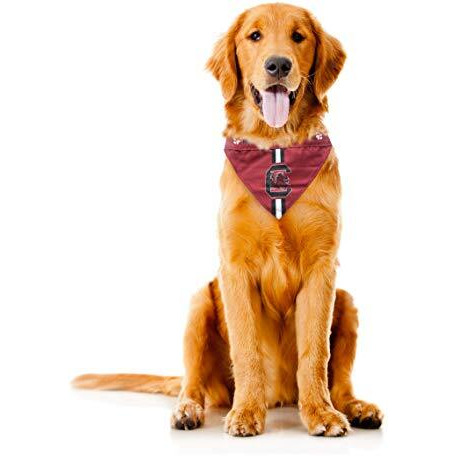 South Carolina Gamecocks Pet Bandanna Size M - Special Order
