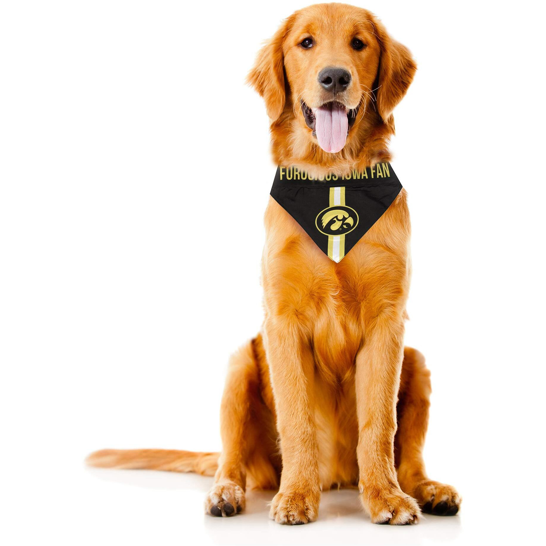 Iowa Hawkeyes Pet Bandanna Size L