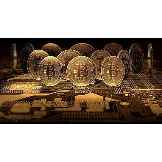 Bit coins The celebratory coins In crystal clear case(D0102HEY62V)