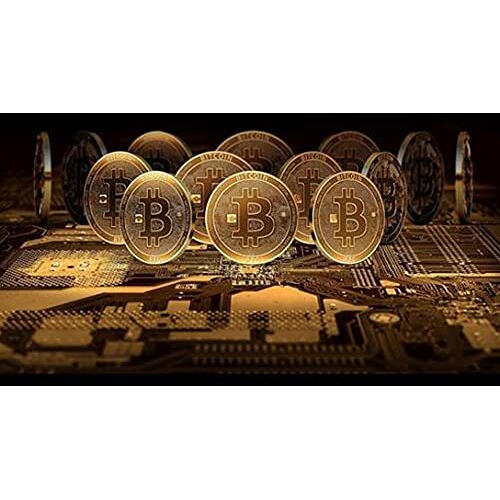 Bit coins The celebratory coins In crystal clear case(D0102HEY62V)