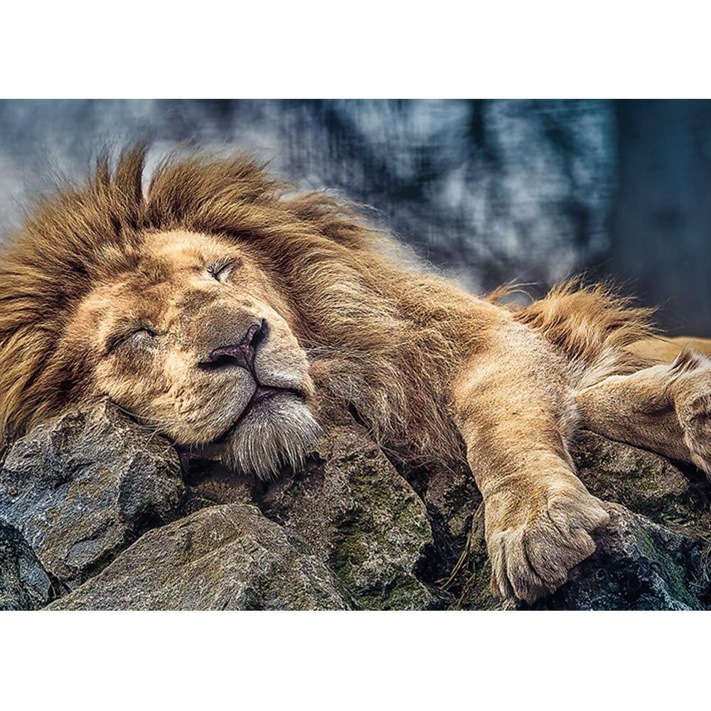 Trefl 1000 Piece Jigsaw Puzzle, Sleeping Lion