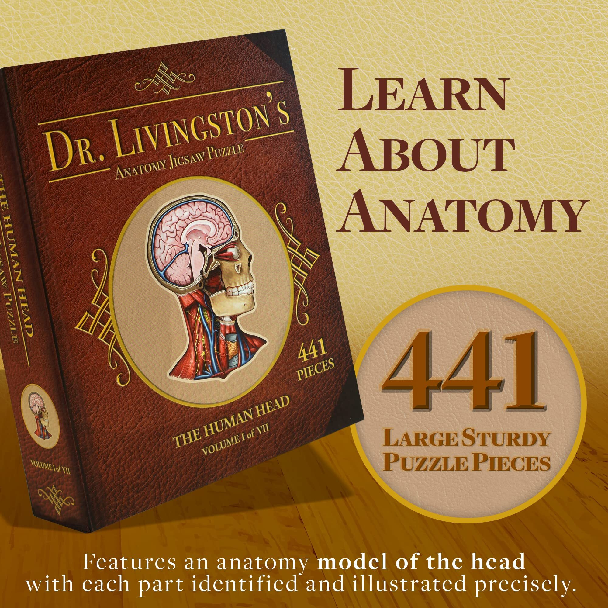Dr. Livingston's Anatomy Jigsaw Puzzle The Human Head