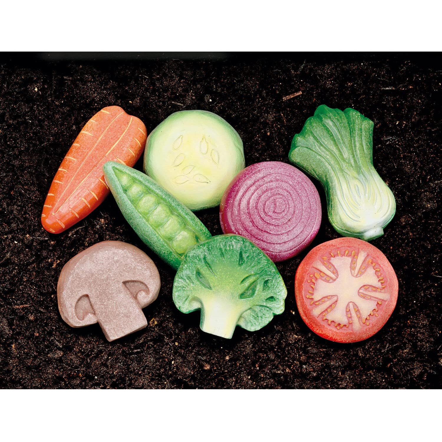 VEGETABLE SENSORY STONES