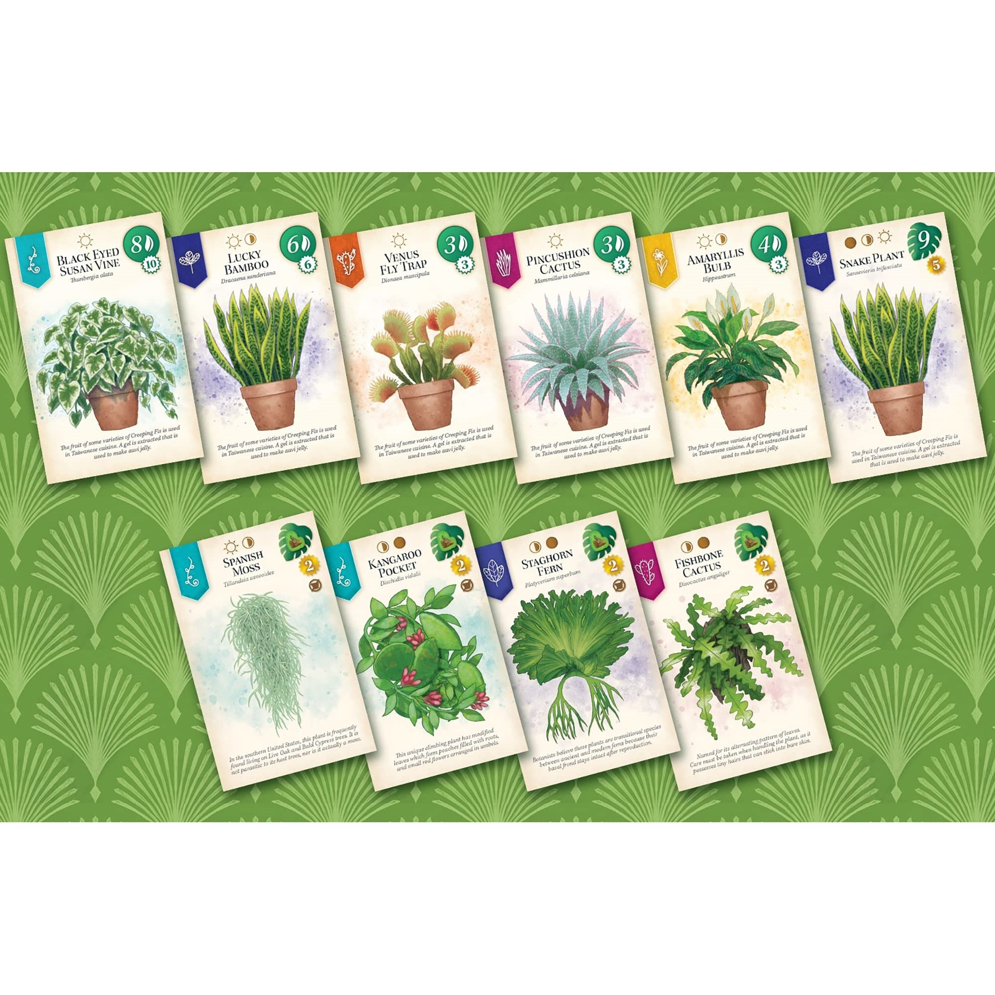 Alderac Entertainment Group (AEG) Verdant - Family Spatial Puzzle Game, Ages 10+, 1-5 Players, 30-45 Min