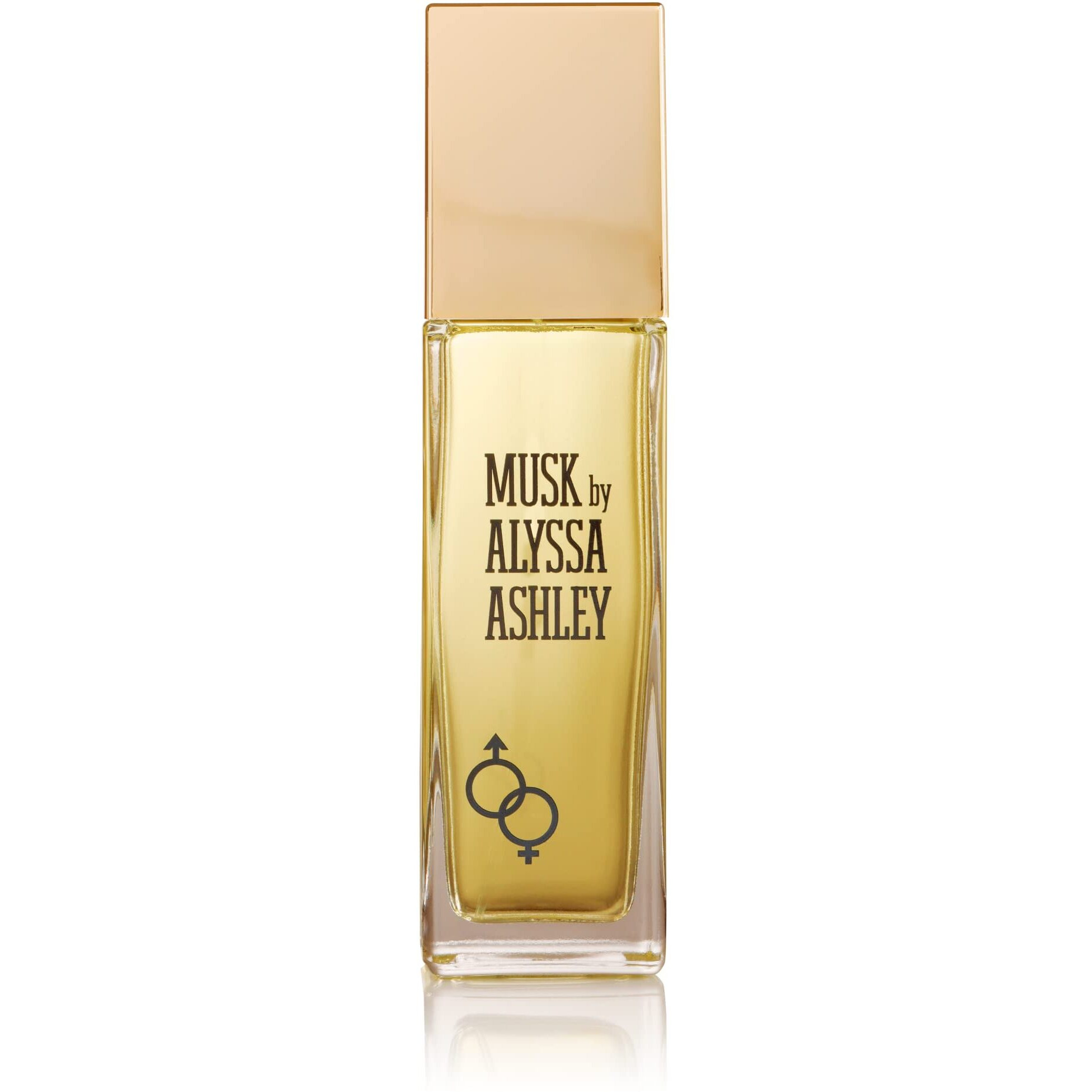 Alyssa Ashley Musk By Alyssa Ashley For Women. Eau De Toilette Spray 3.4 Ounces