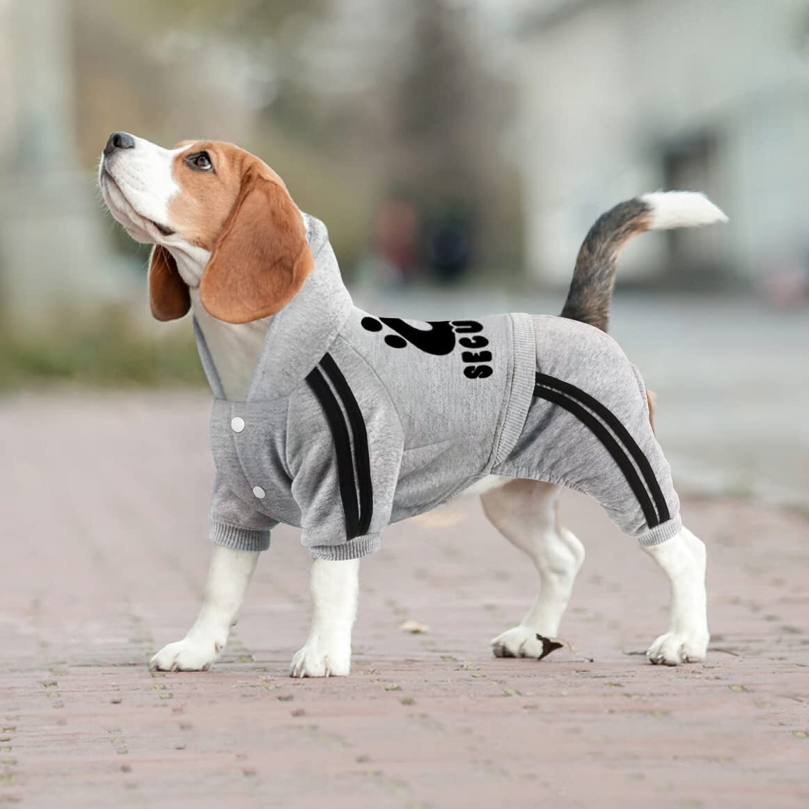 Otunrues Dog Hoodie Security Dog Clothes 4 Legs Dog Jumpsuit Sweatshirt Hoodies Soft & Warm Dog Outfit Pullover Dog Winter Clothes  Dog Sweater For Small Medium Large Dogs Cats (Grey  X-Small)