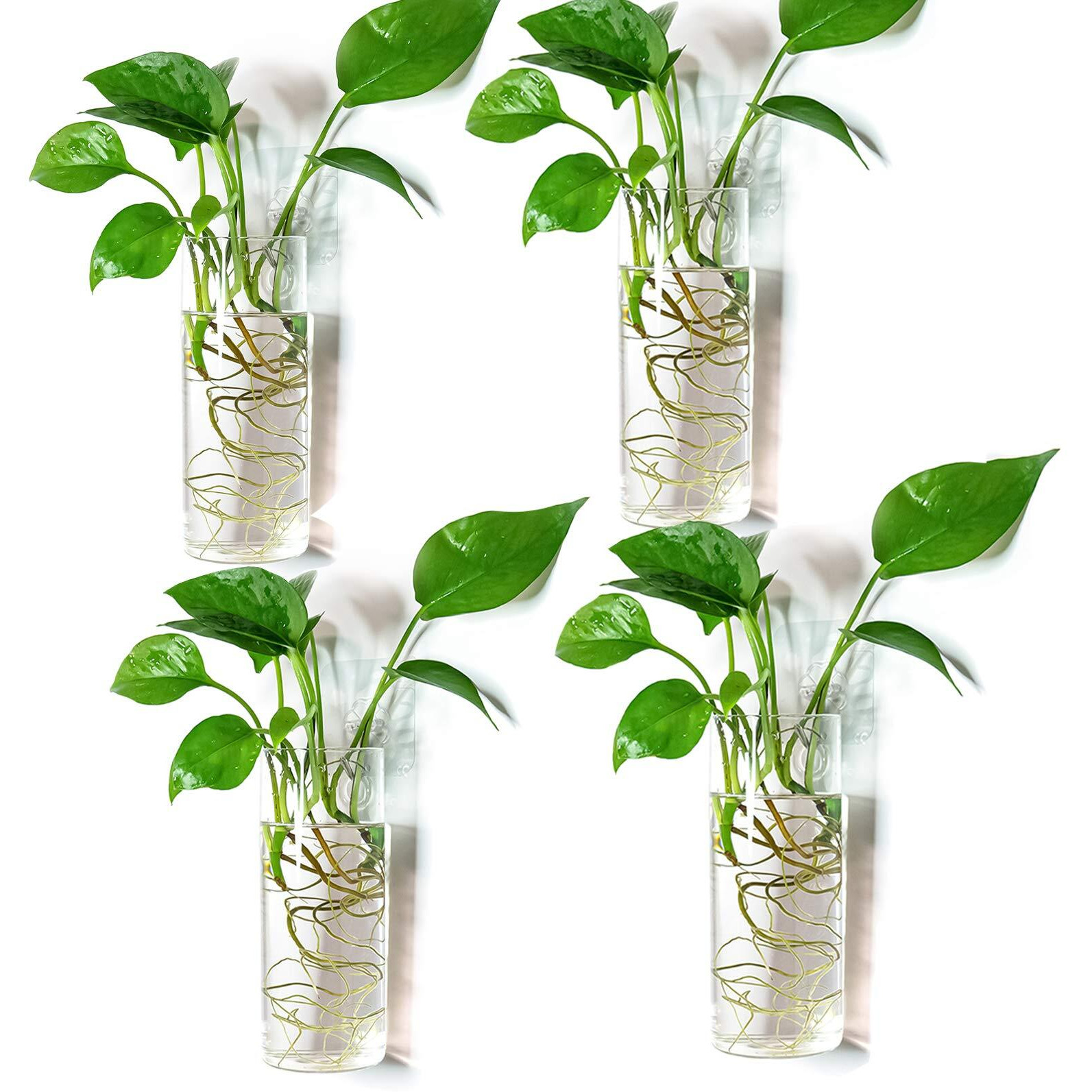 Kingbuy Wall Hanging Planter Plant Propagation Station Glass Wall Vase For Home Kitchen Windowsill Decor  Plant Lover Gifts  Clear Medium Cylinder  4 Pack