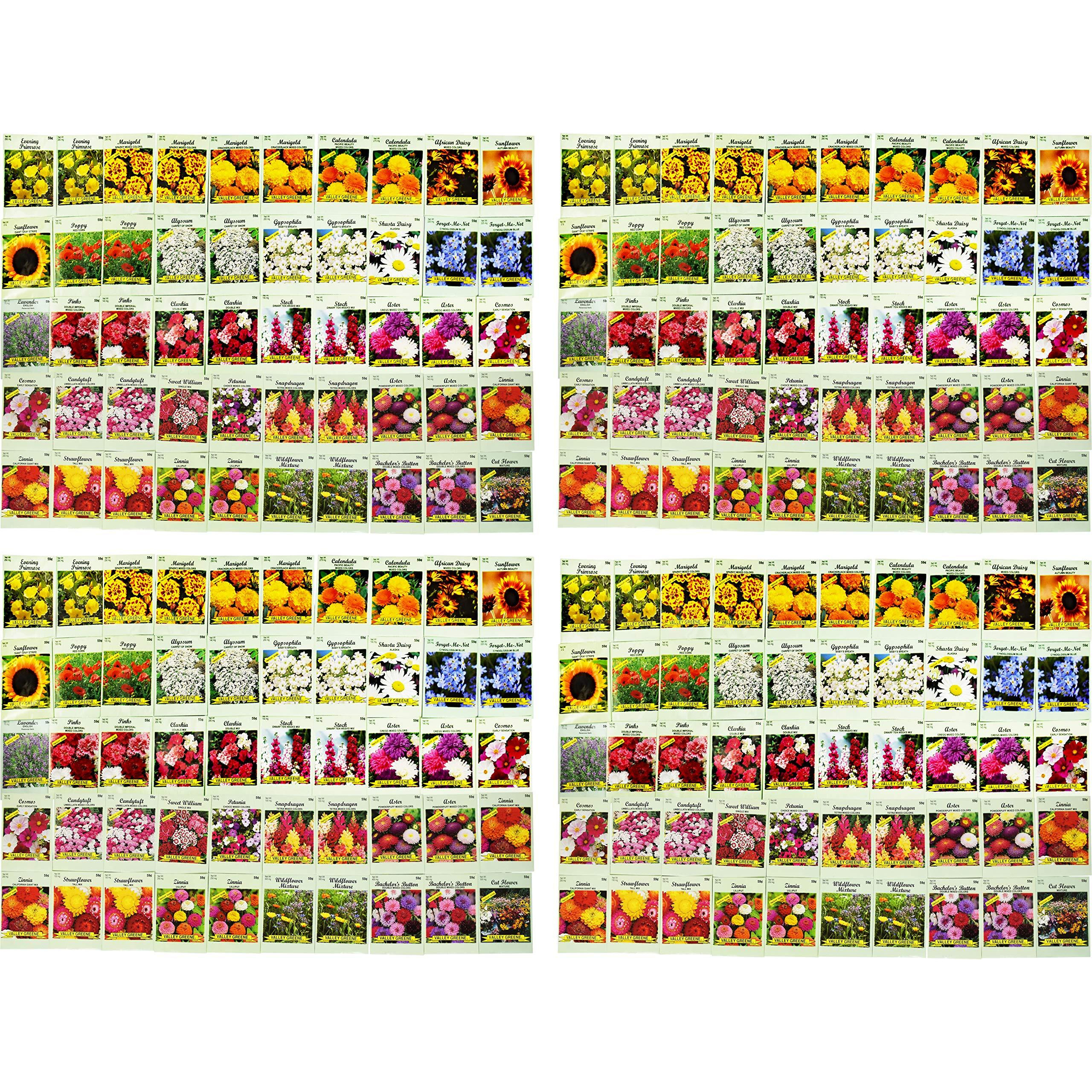 Set Of 200 Assorted Flower Seed Packets Flower Seeds In Bulk - 20 Varieties Available