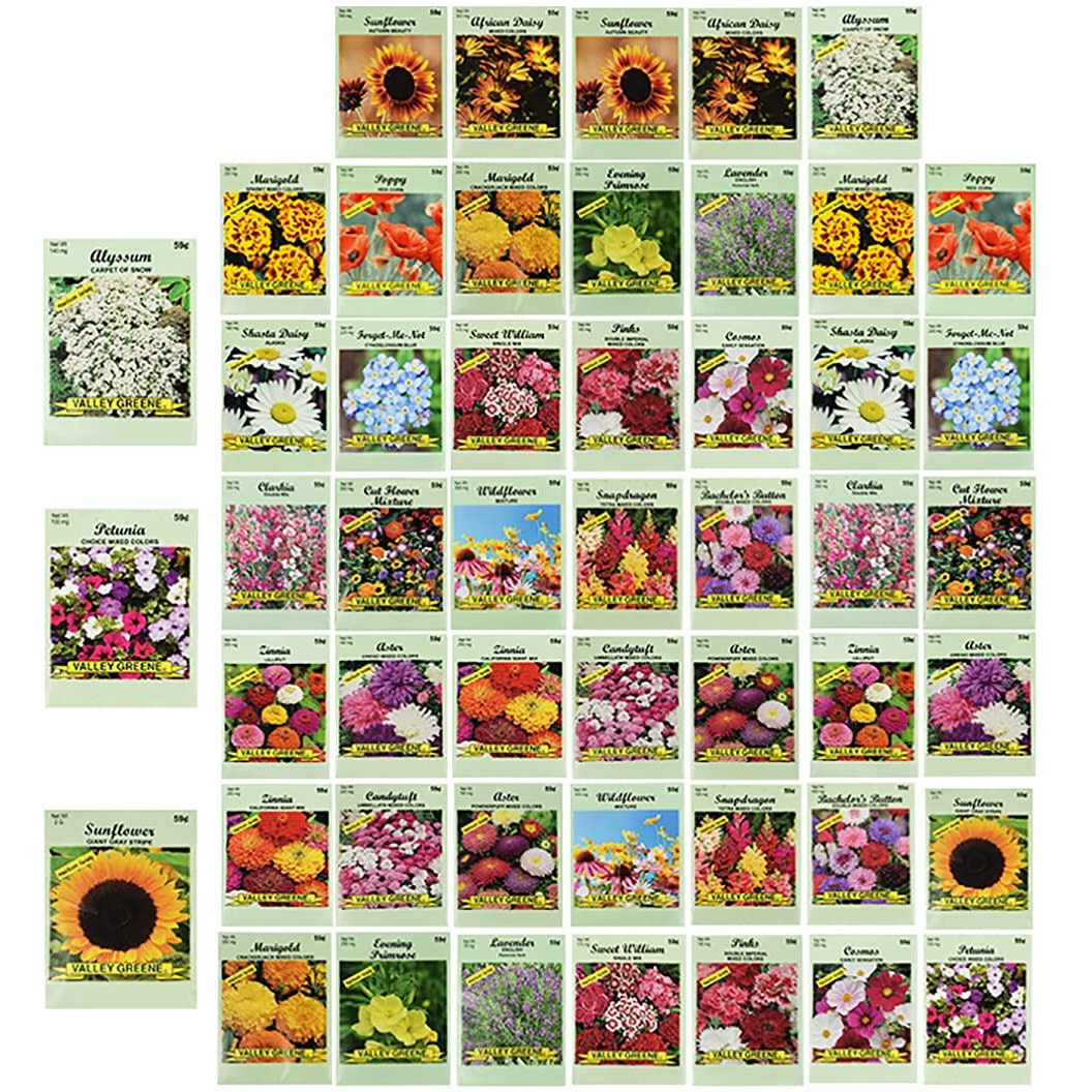 Set Of 50 Assorted Flower Seed Packets Flower Seeds In Bulk - 10 Varieties Available