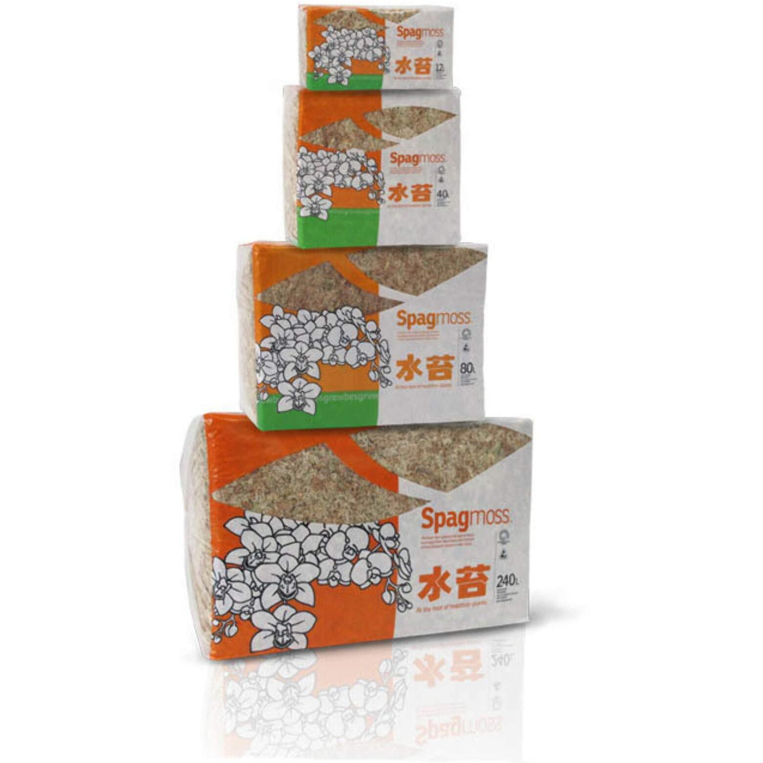 Besgrow New Zealand Sphagnum Moss (100 Grams)