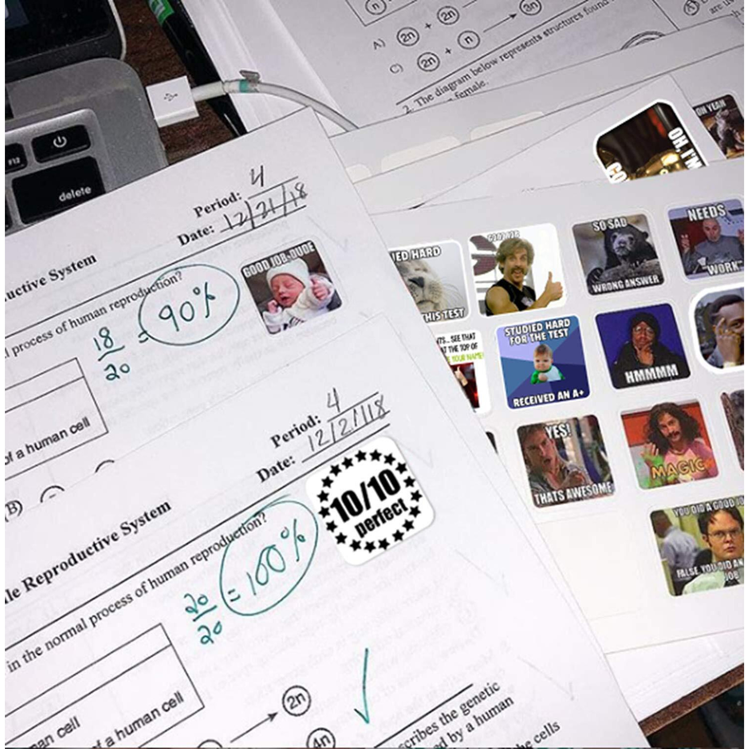 Meme Stickers/Meme Reward Stickers For Teachers 200Pcs No Repetition