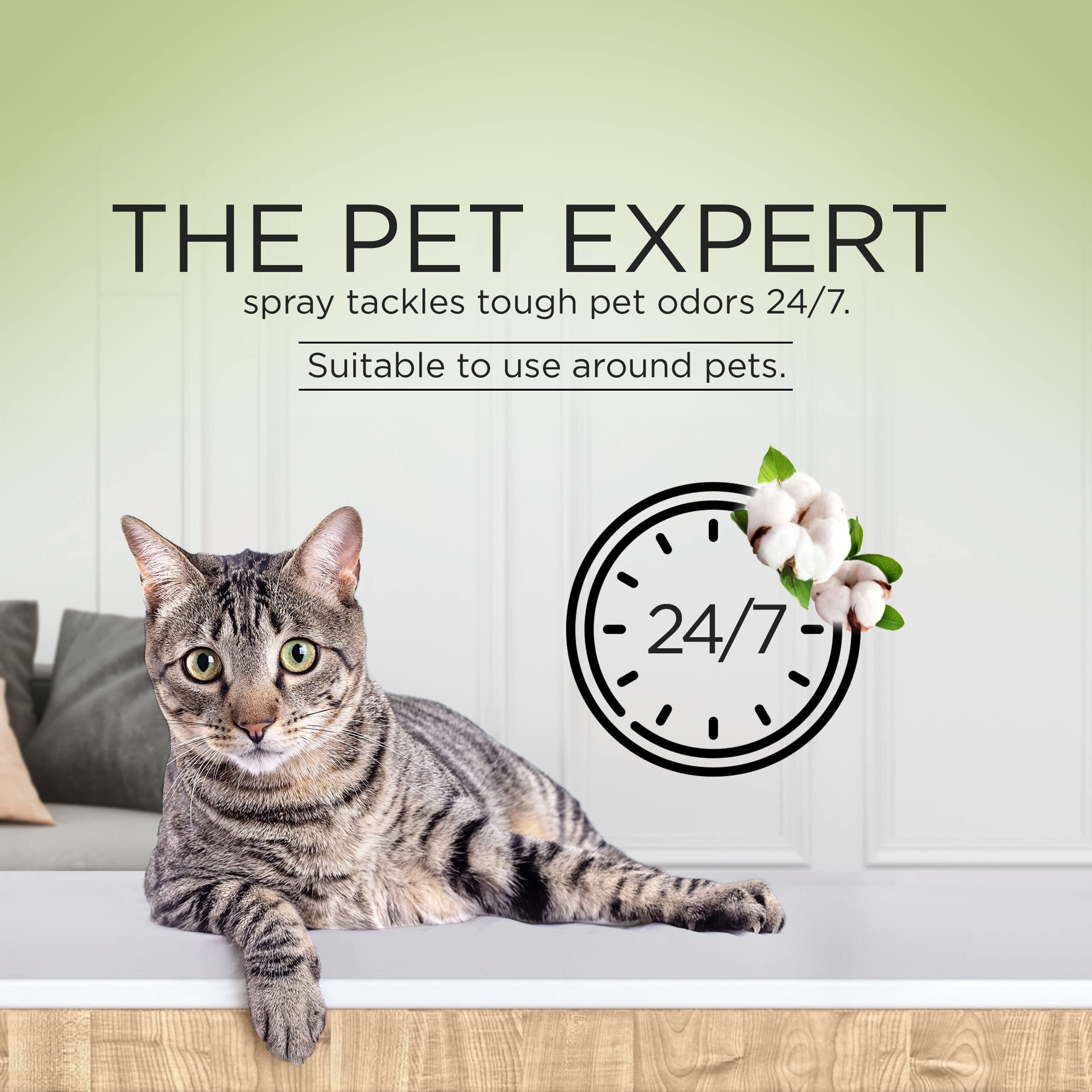 Air Wick Automatic Spray Starter Kit Fresh New Day Pet Fresh Cotton  Air Freshener  Essential Oils