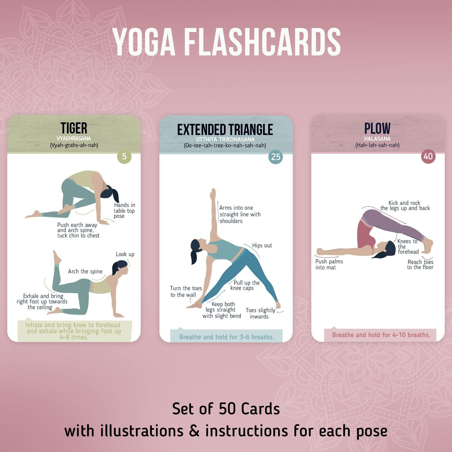 Merka Yoga Pose Flashcards Your Ultimate Yoga Accessories For Beginners To Masters  Deck Of 50 Yoga Cards For Men  Women  And Children Comprehensive Guide To Fundamental Poses And Sequences In Yoga