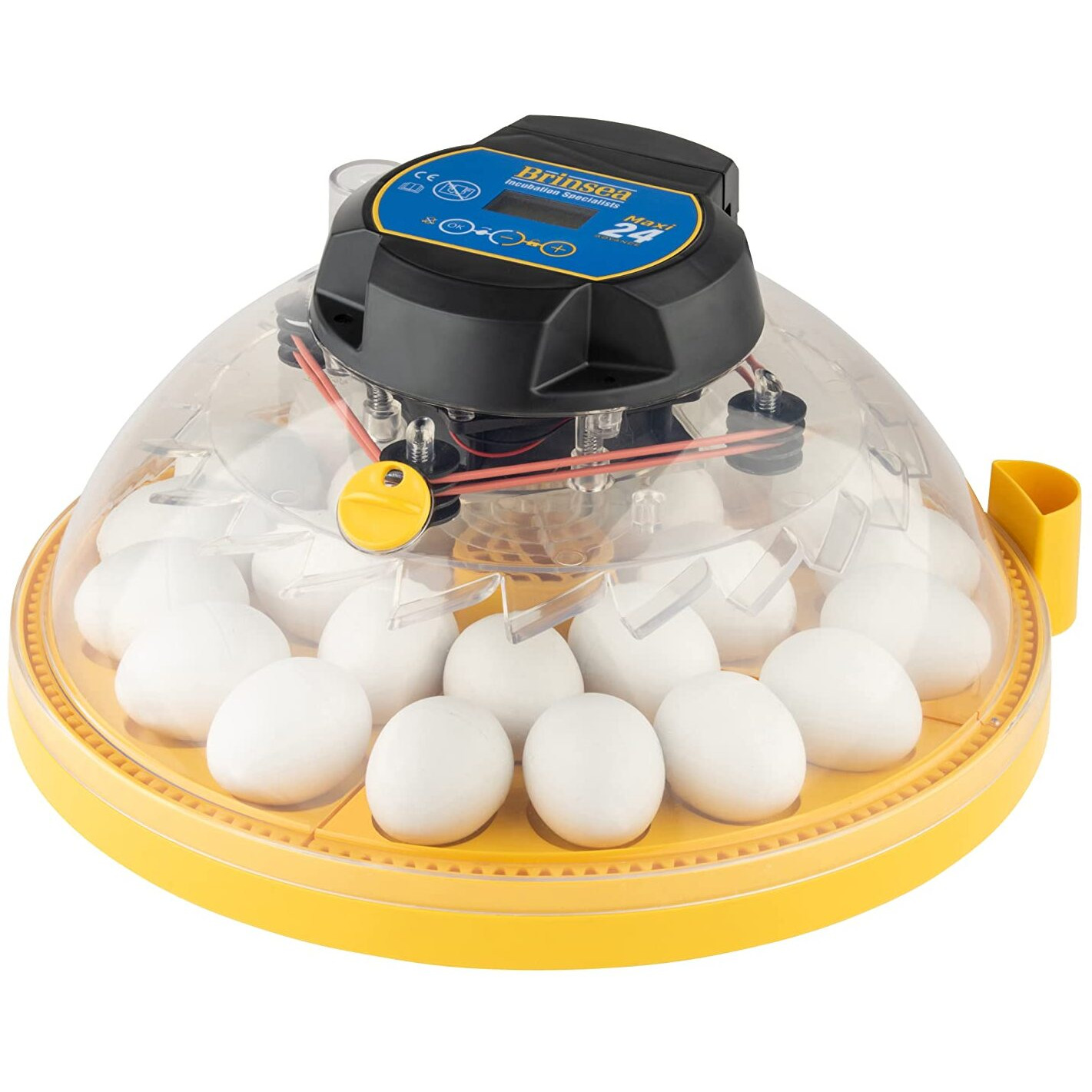 Brinsea Products Maxi 24 Advance Automatic 24 Egg Incubator  Yellow/Blue