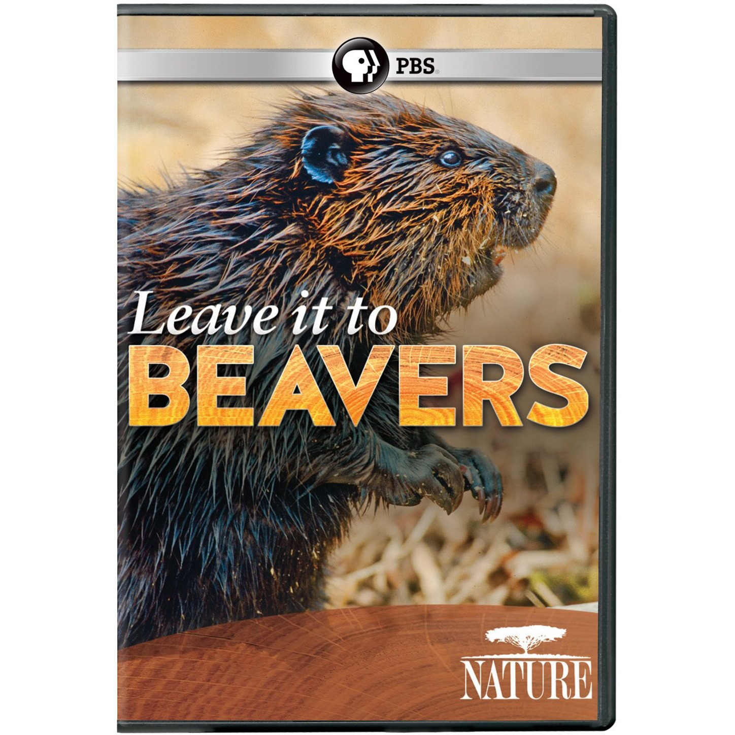 Nature Leave It To Beavers