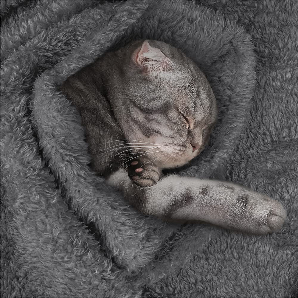 Petami Fluffy Dog Blanket For Small Medium Large Dogs  Sherpa Soft Warm Pet Fleece Throw For Indoor Cats  Fuzzy Plush Shaggy Blanket Furniture Protector Sofa Couch Bed  Gray 29X40