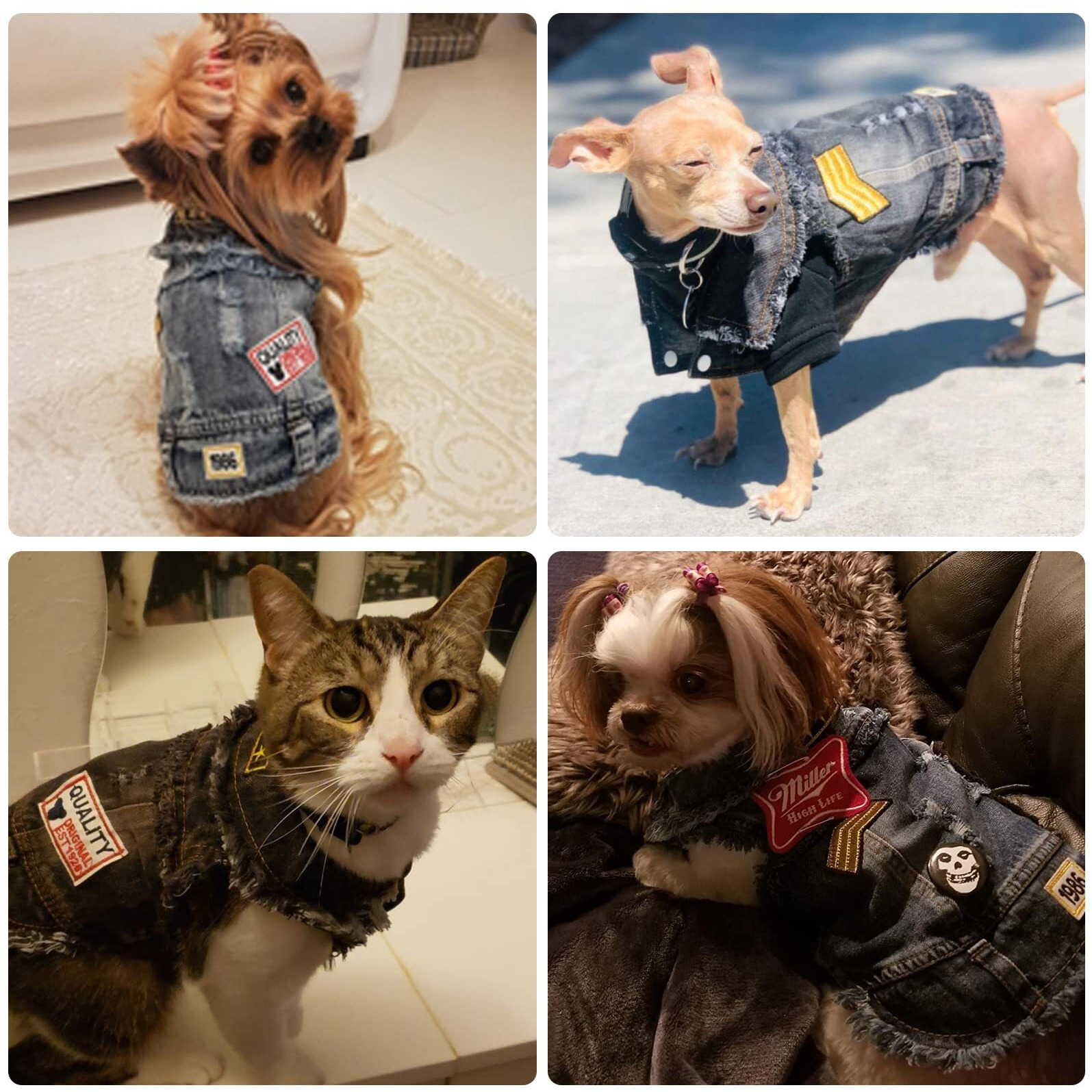 Doggyzstyle Pet Vests Dog Denim Jacket Hoodies Puppy Jacket For Small Medium Dogs (Xs  Black Print)