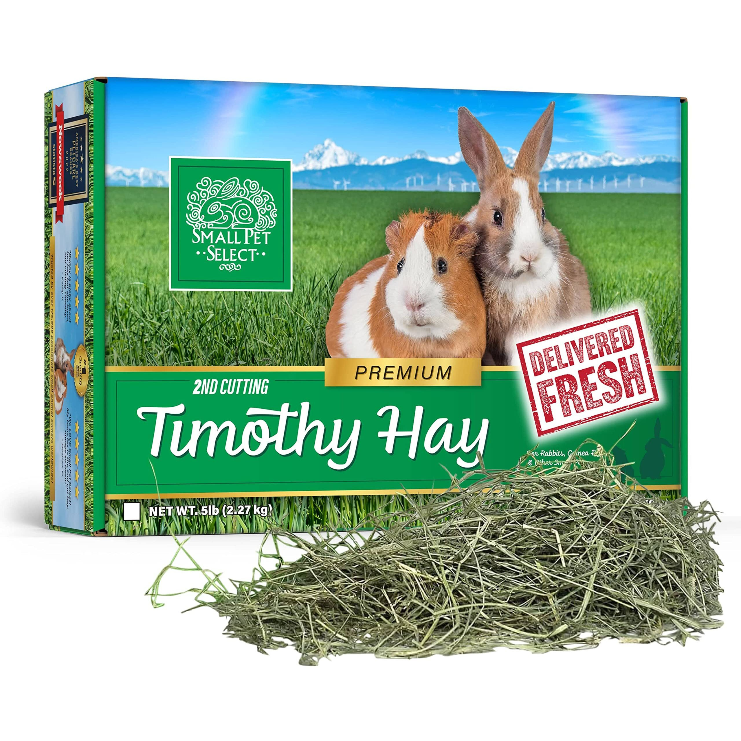 Small Pet Select 2Nd Cutting Perfect Blend Timothy Hay Pet Food For Rabbits  Guinea Pigs  Chinchillas And Other Small Animals  Premium Natural Hay Grown In The Us  2 Lb